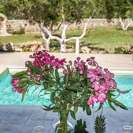 Avra - With Private Pool Villa